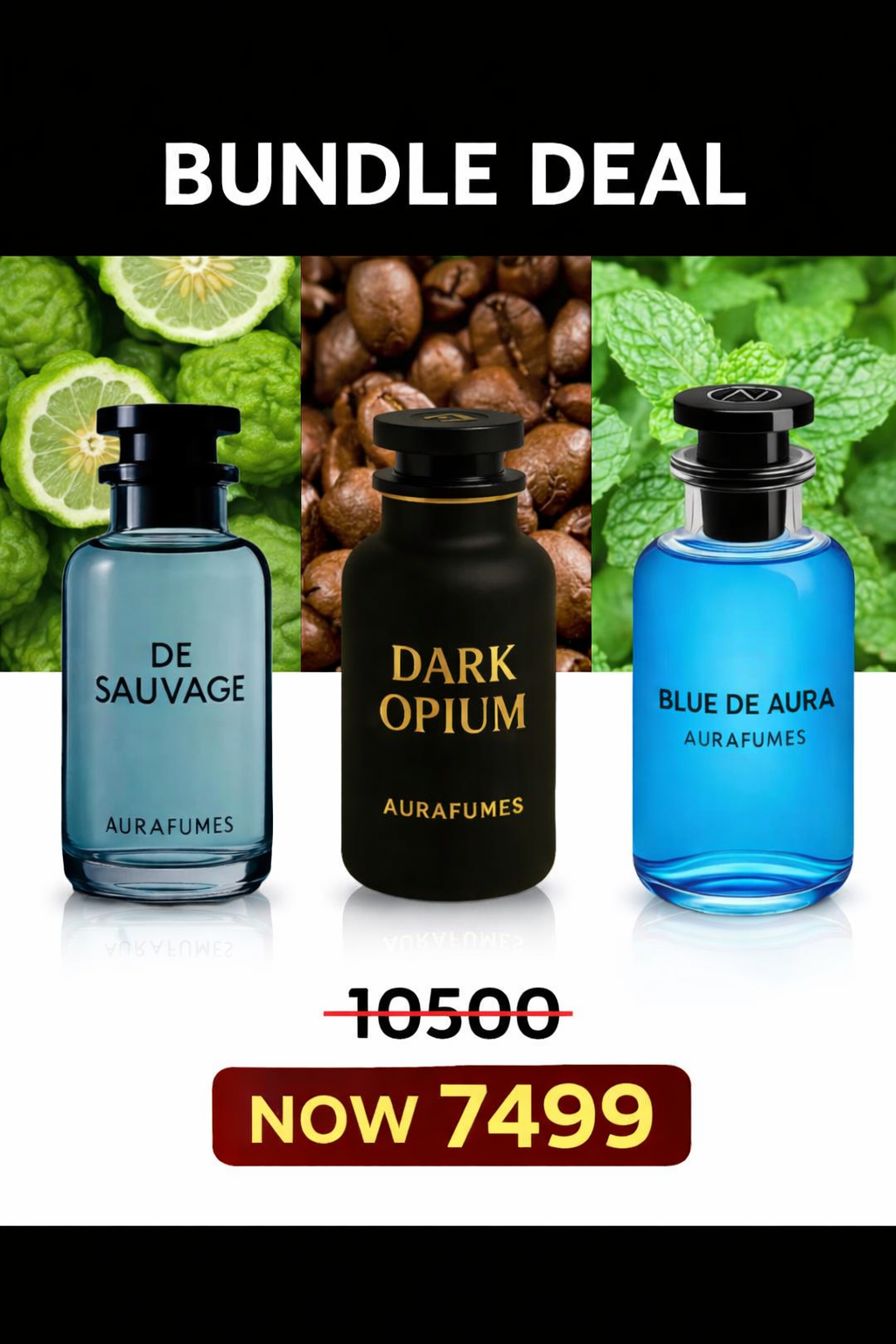 BUNDLE DEAL 3